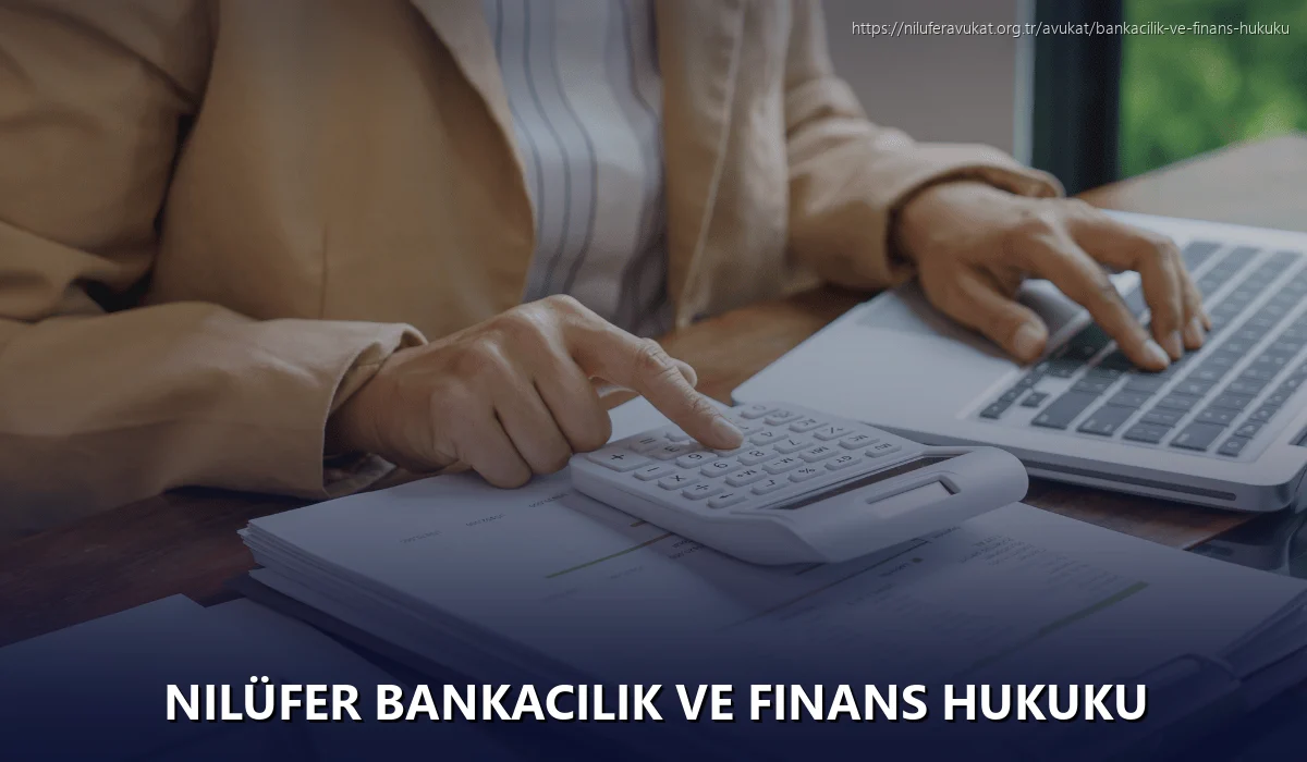 Nilüfer Bankacılık ve Finans Hukuku