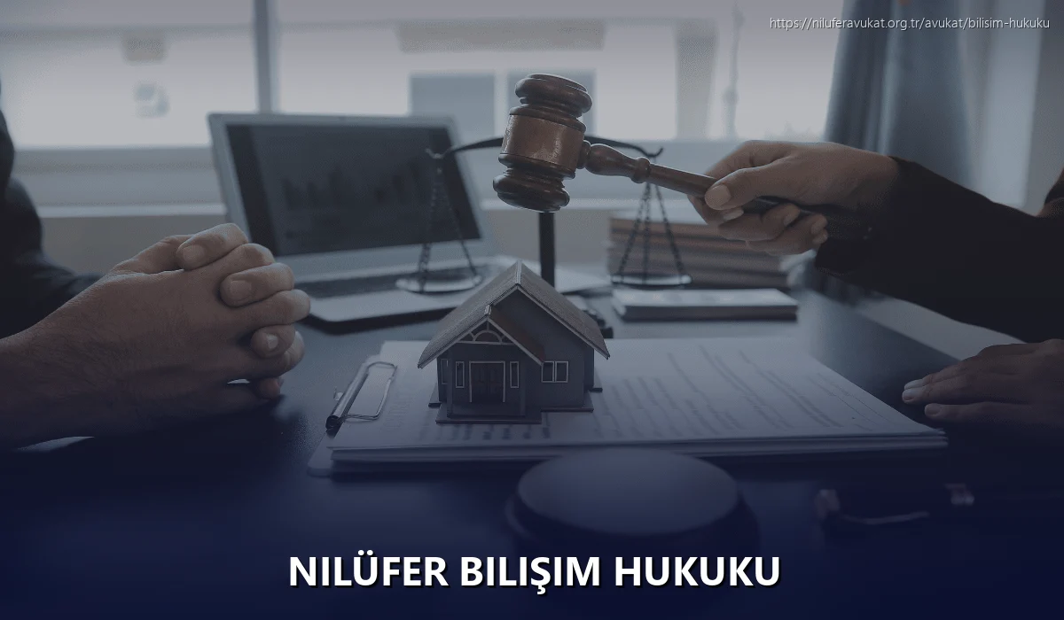 Nilüfer Bilişim Hukuku