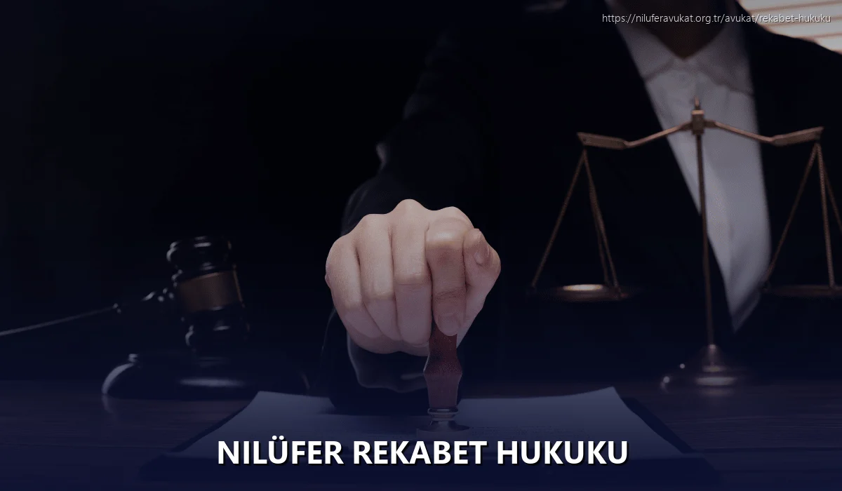 Nilüfer Rekabet Hukuku