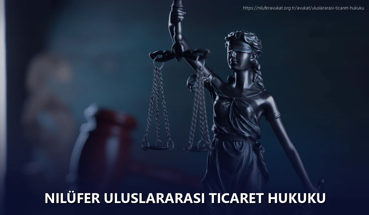 Nilüfer Uluslararası Ticaret Hukuku